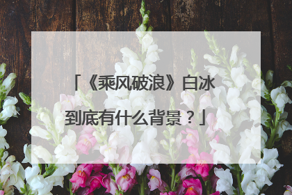 《乘风破浪》白冰到底有什么背景?