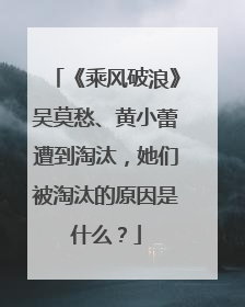 《乘风破浪》吴莫愁、黄小蕾遭到淘汰,她们被淘汰的原因是什么?