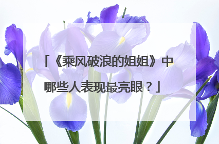 《乘风破浪的姐姐》中哪些人表现最亮眼?