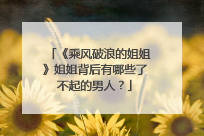 《乘风破浪的姐姐》姐姐背后有哪些了不起的男人?