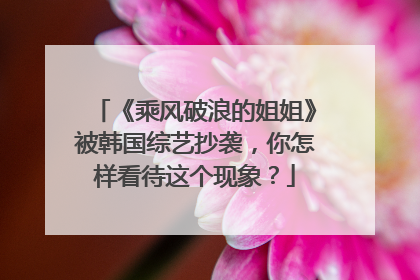 《乘风破浪的姐姐》被韩国综艺抄袭,你怎样看待这个现象?