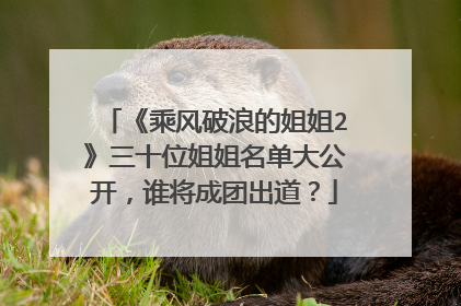 《乘风破浪的姐姐2》三十位姐姐名单大公开，谁将成团出道？