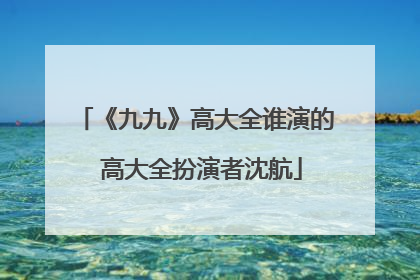 《九九》高大全谁演的 高大全扮演者沈航