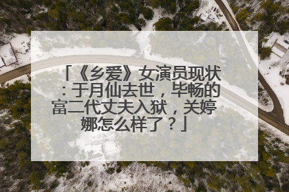 《乡爱》女演员现状：于月仙去世，毕畅的富二代丈夫入狱，关婷娜怎么样了？