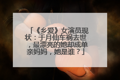 《乡爱》女演员现状：于月仙车祸去世，最漂亮的她却成单亲妈妈，她是谁？
