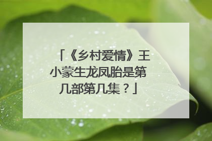 《乡村爱情》王小蒙生龙凤胎是第几部第几集？