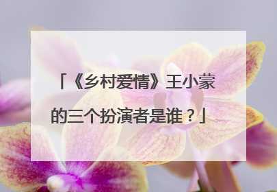 《乡村爱情》王小蒙的三个扮演者是谁?