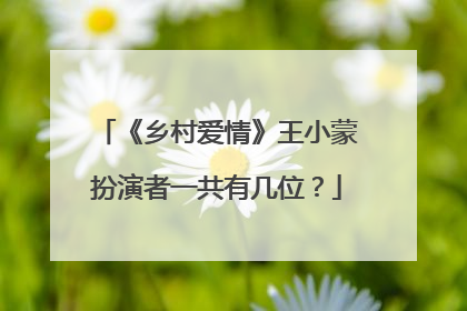 《乡村爱情》王小蒙扮演者一共有几位？
