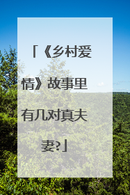 《乡村爱情》故事里有几对真夫妻?