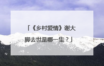 《乡村爱情》谢大脚去世是哪一集？