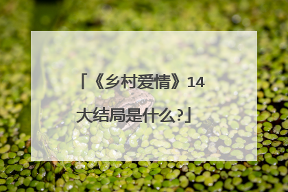 《乡村爱情》14大结局是什么?