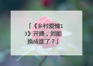 《乡村爱情13》开播,刘能换成谁了?