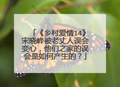 《乡村爱情14》宋晓峰被老丈人误会变心，他们之家的误会是如何产生的？