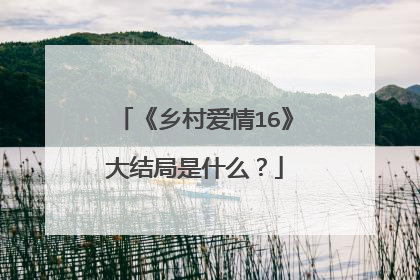 《乡村爱情16》大结局是什么?