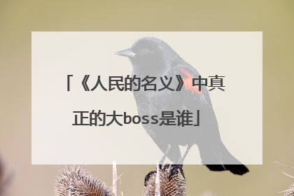 《人民的名义》中真正的大boss是谁
