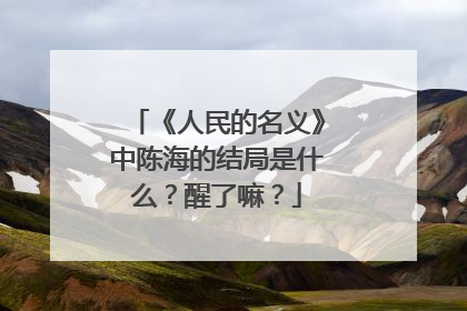 《人民的名义》中陈海的结局是什么？醒了嘛？
