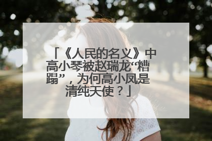 《人民的名义》中高小琴被赵瑞龙“糟蹋”,为何高小凤是清纯天使?