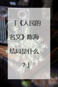 《人民的名义》陈海结局是什么？