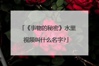 《事物的秘密》水里视频叫什么名字?
