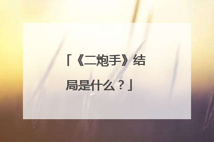 《二炮手》结局是什么?