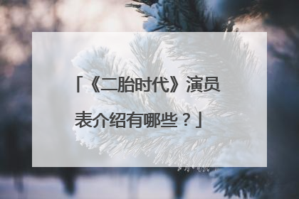 《二胎时代》演员表介绍有哪些？