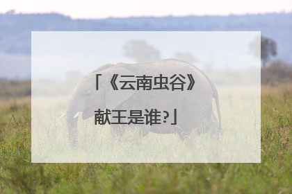 《云南虫谷》献王是谁?