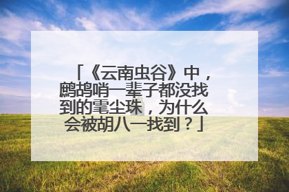 《云南虫谷》中,鹧鸪哨一辈子都没找到的雮尘珠,为什么会被胡八一找到?