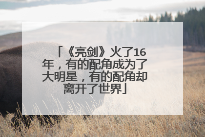 《亮剑》火了16年，有的配角成为了大明星，有的配角却离开了世界
