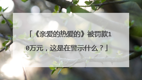 《亲爱的热爱的》被罚款10万元，这是在警示什么？