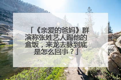 《亲爱的爸妈》群演称张姓艺人踢他的盒饭，来龙去脉到底是怎么回事？