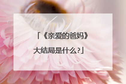 《亲爱的爸妈》大结局是什么?