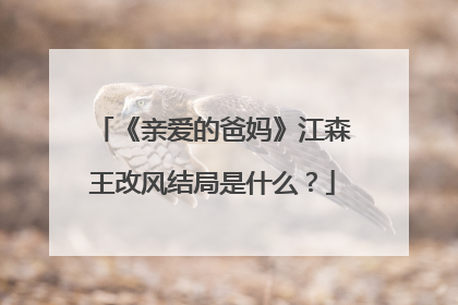 《亲爱的爸妈》江森王改风结局是什么？