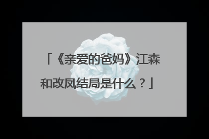 《亲爱的爸妈》江森和改凤结局是什么？