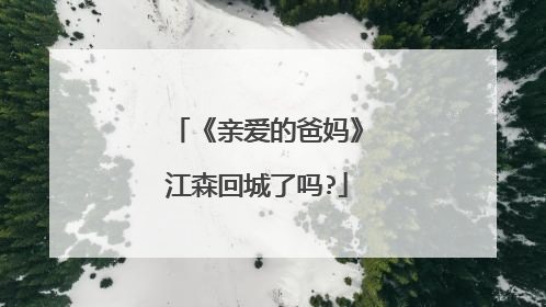 《亲爱的爸妈》江森回城了吗?