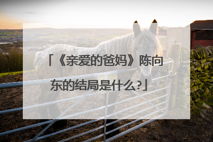 《亲爱的爸妈》陈向东的结局是什么?