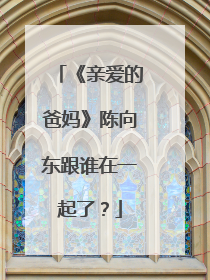 《亲爱的爸妈》陈向东跟谁在一起了?