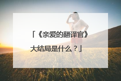 《亲爱的翻译官》大结局是什么？