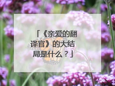 《亲爱的翻译官》的大结局是什么？