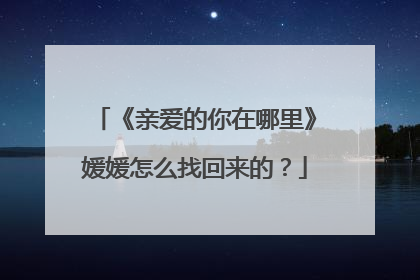 《亲爱的你在哪里》媛媛怎么找回来的?