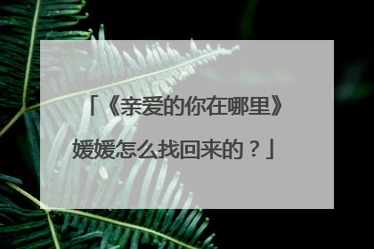 《亲爱的你在哪里》媛媛怎么找回来的？