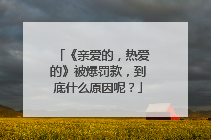 《亲爱的,热爱的》被爆罚款,到底什么原因呢?