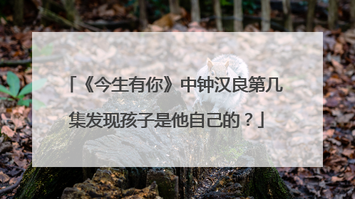 《今生有你》中钟汉良第几集发现孩子是他自己的？