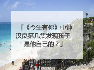 《今生有你》中钟汉良第几集发现孩子是他自己的？
