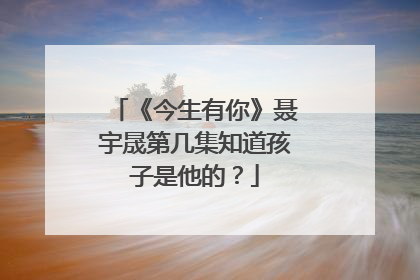 《今生有你》聂宇晟第几集知道孩子是他的？