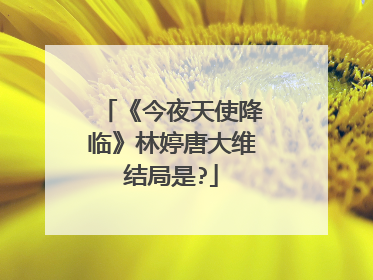 《今夜天使降临》林婷唐大维结局是?