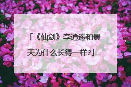 《仙剑》李逍遥和景天为什么长得一样?