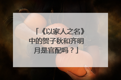 《以家人之名》中的贺子秋和齐明月是官配吗？