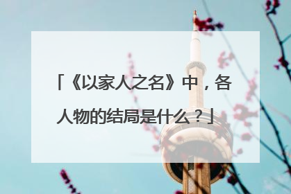 《以家人之名》中，各人物的结局是什么？