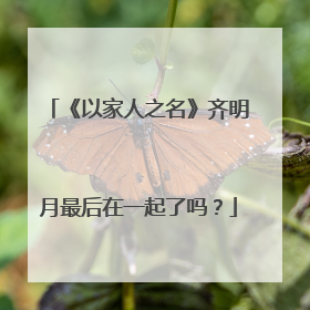 《以家人之名》齐明月最后在一起了吗?