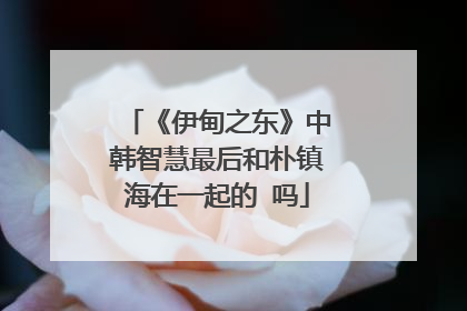 《伊甸之东》中韩智慧最后和朴镇海在一起的 吗